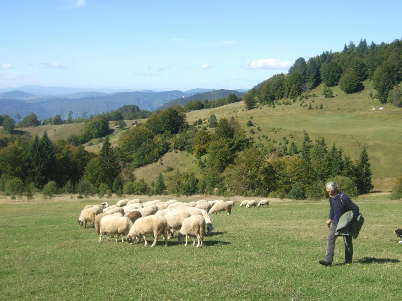 Planinski Mir Zaovine Exteriér fotografie