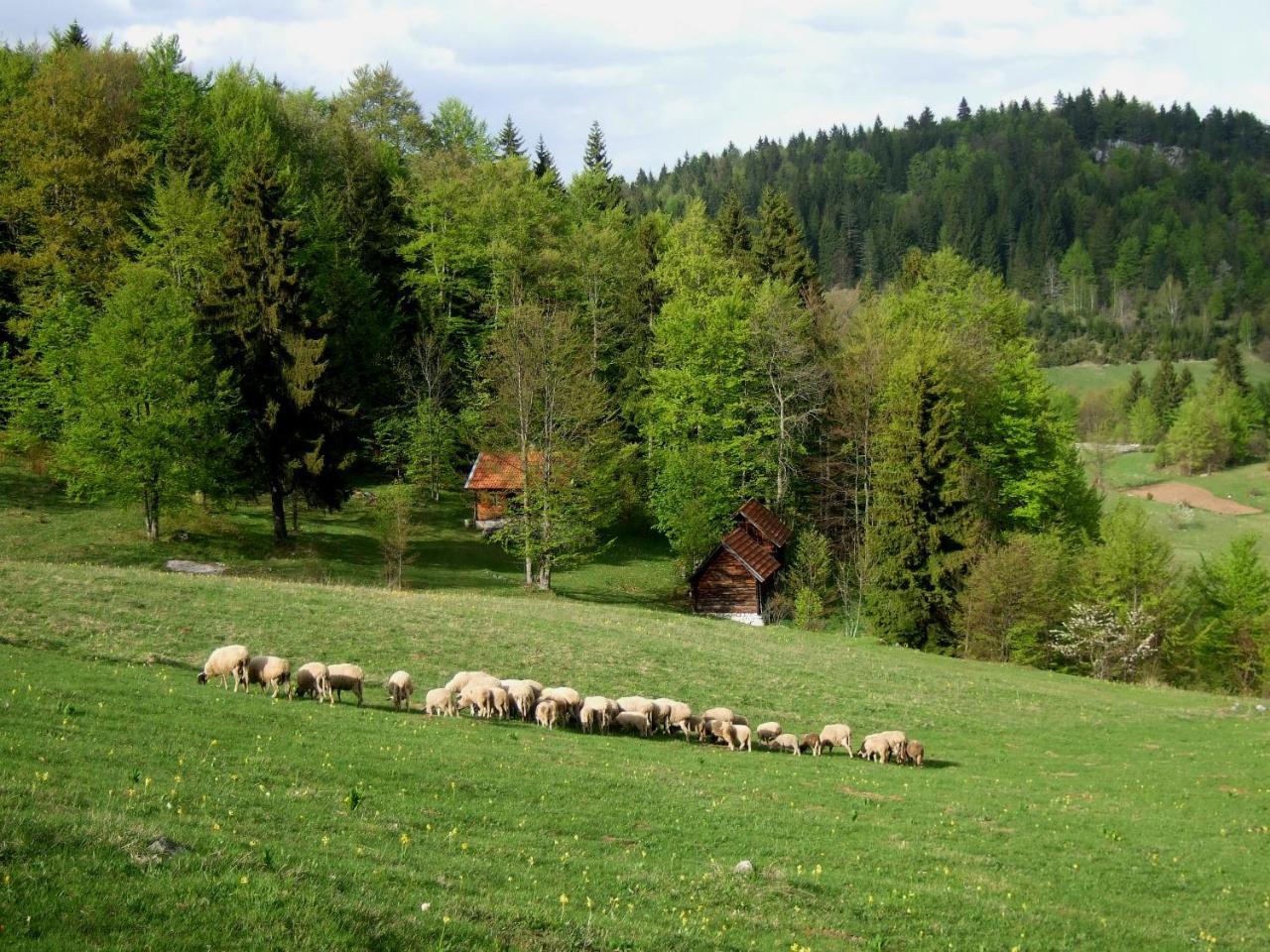 Planinski Mir Zaovine Exteriér fotografie
